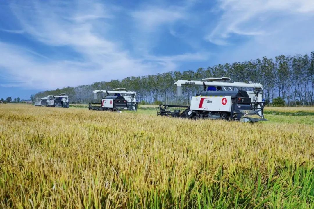 俄罗斯专享会294(中国游)官方网站